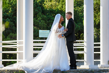 Image showing Mixed-racial newlyweds on a walk hugging against the backdrop of a beautiful gazebo