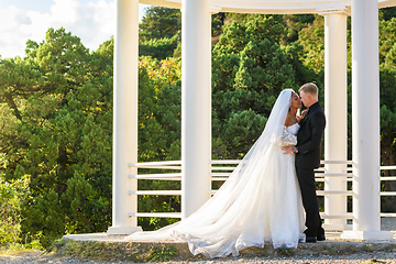 Image showing Portrait of mixed-racial newlyweds against the background of a gazebo with round columns, a girl in a lush white dress