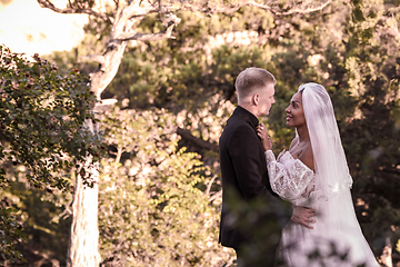 Image showing Portrait of young beautiful interracial newlyweds on a walk