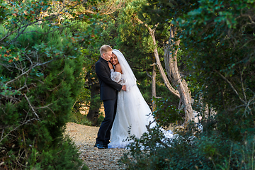 Image showing Interracial newlyweds hugging against the backdrop of a beautiful forest landscape