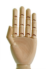 Image showing Model hand