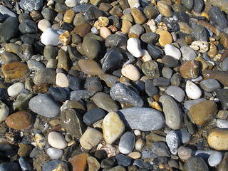 Image showing Wet different sea pebbles on the beach