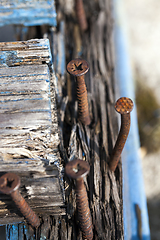 Image showing Rusty nails, close-up