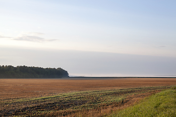 Image showing autumn landscape