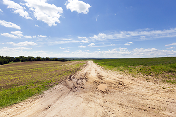 Image showing Road through the field