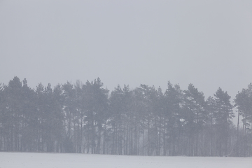 Image showing Snow drifts in winter