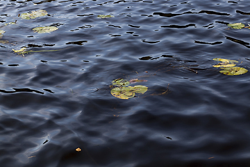 Image showing Wave lake