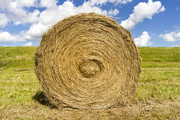 Image showing straw grass