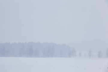 Image showing Winter landscape