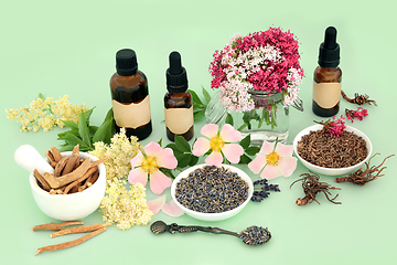 Image showing Healing Herbs and Flowers for Naturopathic Medicine