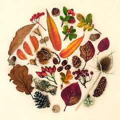 Image showing Autumn Nature Study Arrangement of Flora and Fauna