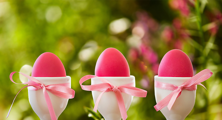 Image showing pink easter eggs in holders on natural background