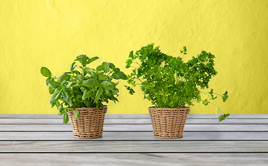 Image showing basil and parsley herbs in wicker baskets on table