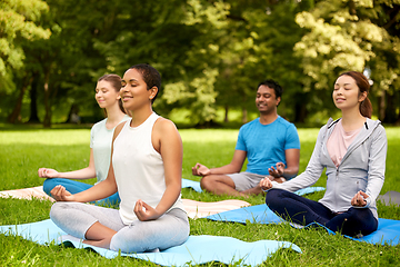 Image showing group of people doing yoga at summer park