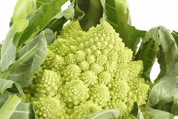 Image showing Romanesco_2