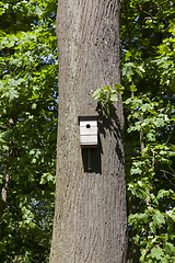 Image showing wooden birdhouse
