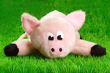 Image showing Pink Piggy