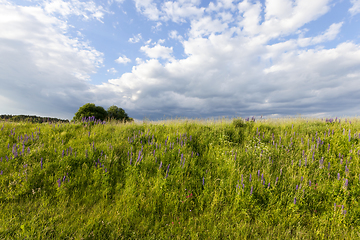 Image showing hill with grass