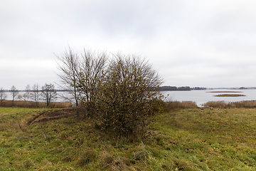 Image showing cloudy weather