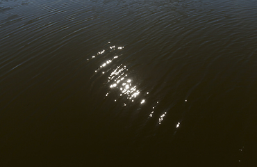 Image showing muddy water of the swamp