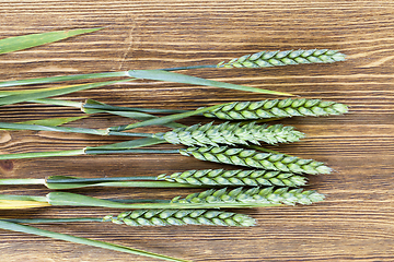 Image showing green ears of wheat