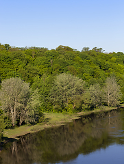 Image showing deciduous trees