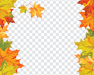 Image showing Maple leaves on transparency grid