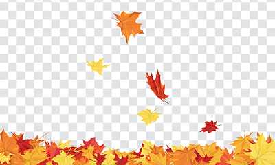 Image showing Maple leaves on transparency grid