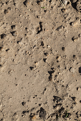 Image showing dry soil