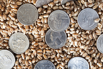 Image showing coin american and grain