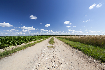 Image showing road in a field