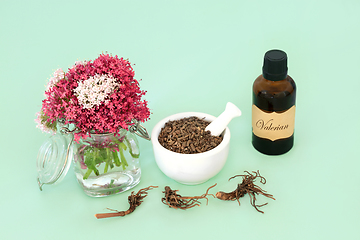 Image showing Valerian Adaptogen Herb Root for Essential Oil Treatment