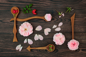 Image showing Rose Flower Natural Herbal Plant Medicine