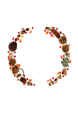 Image showing Wreath of Autumn Flora Nuts and Berry Fruit