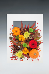 Image showing Thanksgiving and Halloween Abstract Nature Background 