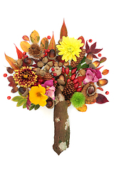 Image showing Surreal Autumn Tree Composition with Leaves and Flowers