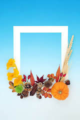 Image showing Thanksgiving and Fall Abstract Nature Background