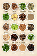 Image showing Nervine Health Food Ingredients to Stimulate the Nervous System