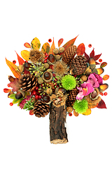 Image showing Abstract Tree Design for Autumn and Thanksgiving 