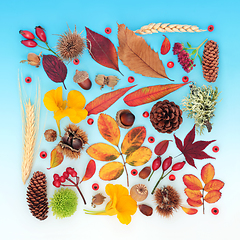 Image showing Symbols of Nature for Autumn Season