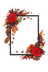 Image showing Vivid Autumn and Thanksgiving Background Nature Border