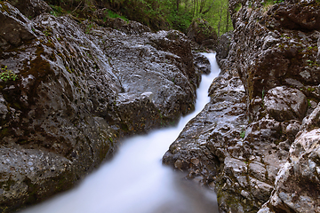 Image showing mountain river in Apuseni, detail