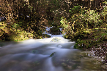 Image showing mountain stream in Apuseni