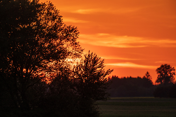 Image showing Vivid susnset with trees in foreground