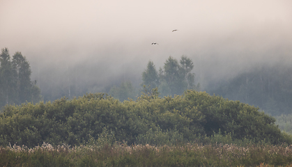 Image showing Misty sunrise over abandoned meadow