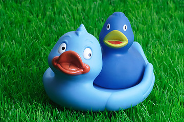 Image showing Rubber ducks