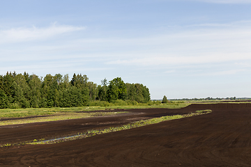 Image showing black soil