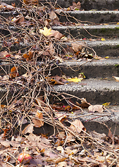 Image showing old concrete staircase