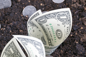 Image showing soil and dollars