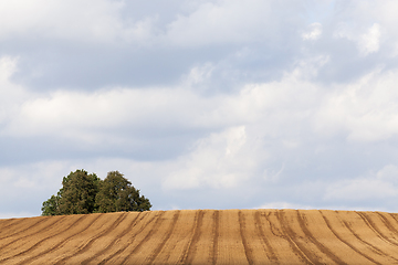 Image showing plowed field